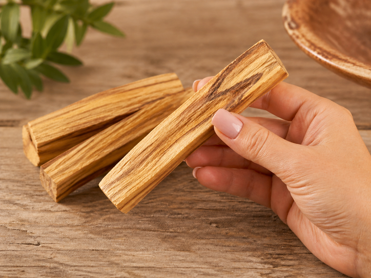 Alternative view of Palo santo (Sveti les)