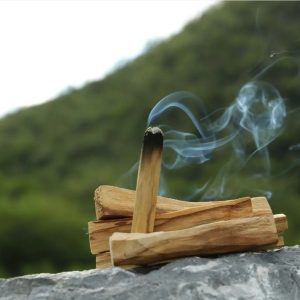 Palo santo (Sveti les)