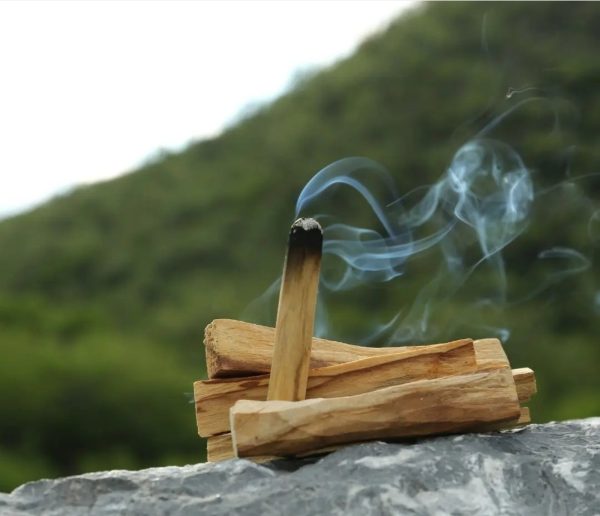 Palo santo (Sveti les)